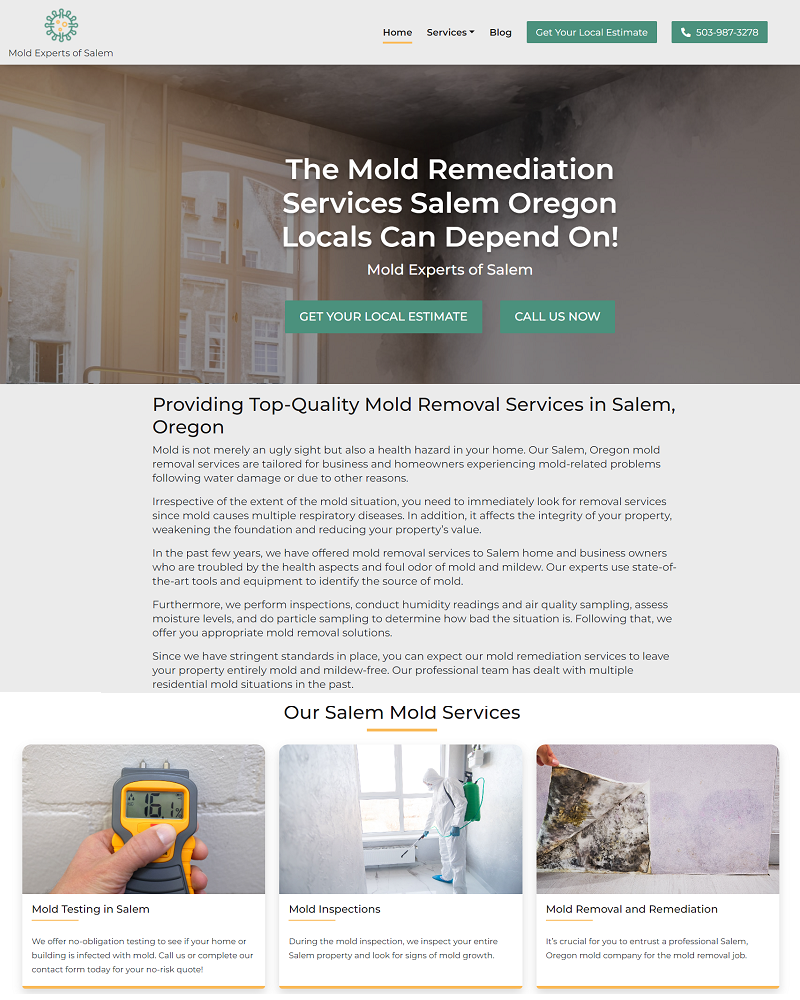 260623083707Mold Experts.png